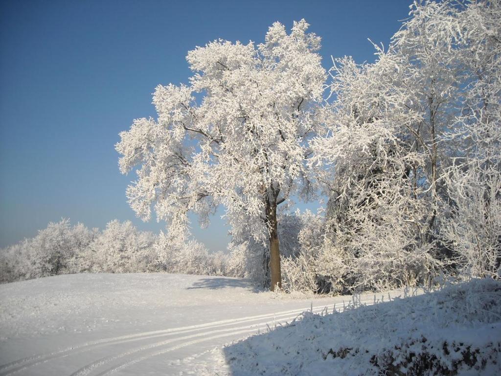 Albergotto Natalina Grazzano Badoglio Rom bilde